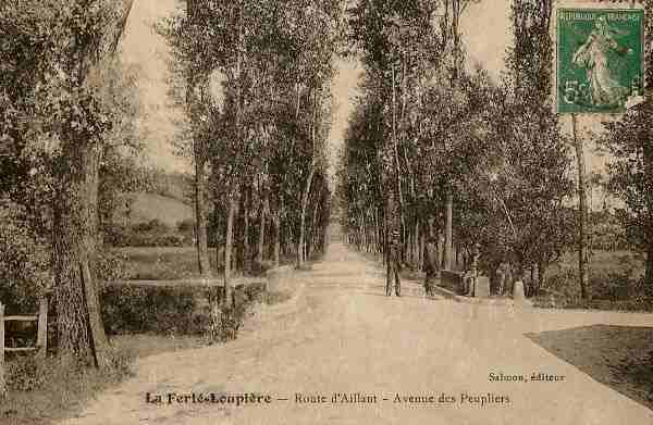 La Fert-Loupire - Route d'Aillant - Avenue des Peupliers