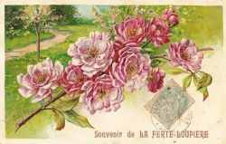 Carte fantaisie - Souvenir de La Fert-Loupire (1905)