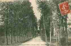 Entre du pays route d'Aillant (1916)
