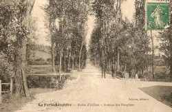Route d'Aillant - Avenue des Peupliers
