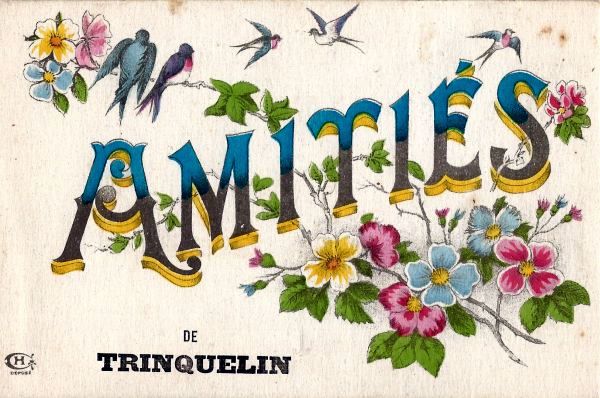 Amitis de Trinquelin